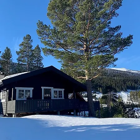 Uvdalhytta - Close To Cross Country And Downhill Skiing Holiday home