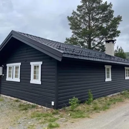 Uvdalhytta - Close To Cross Country And Downhill Skiing Holiday home *