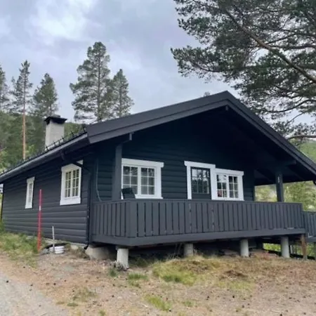 Uvdalhytta - Close To Cross Country And Downhill Skiing Holiday home *