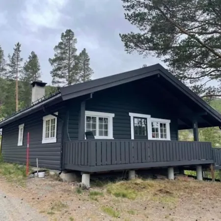 Uvdalhytta - Close To Cross Country And Downhill Skiing Casa vacanze *