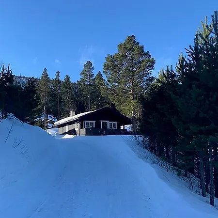Uvdalhytta - Close To Cross Country And Downhill Skiing *